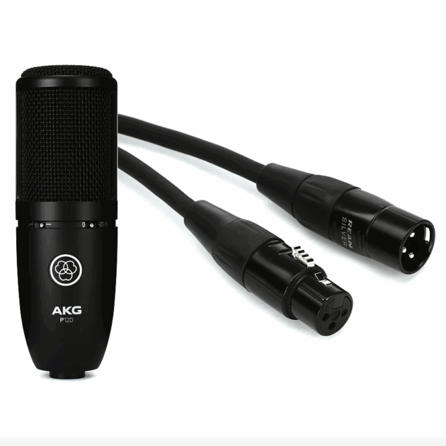 AKG P120 Large-diaphragm Condenser Microphone Bundle with Hosa HMIC-010 Pro Microphone Cable